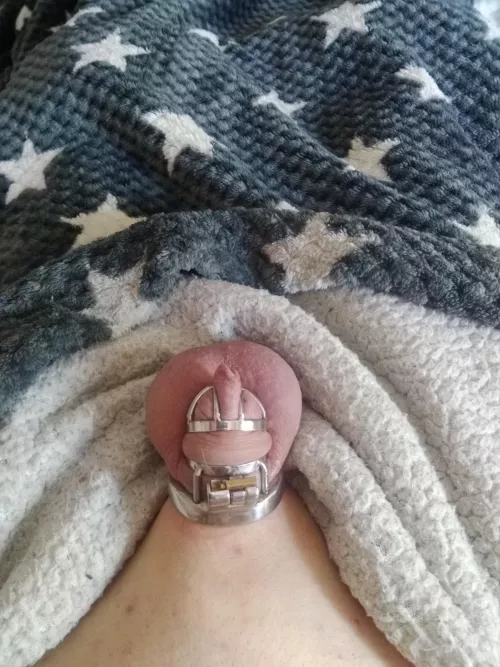 Lazy Sunday... I'm always so horny since I glued my lock shut. Need someone to motivate me