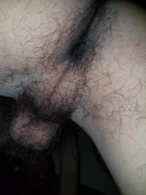 Leg me sit on your face