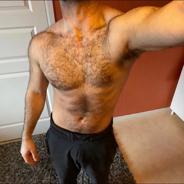 Lets chat