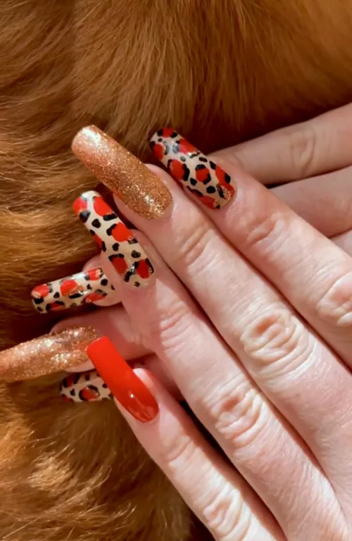 Let’s get wild together?