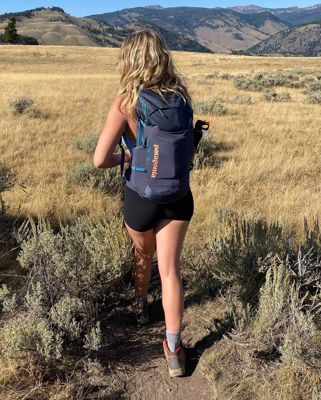 Let's hike