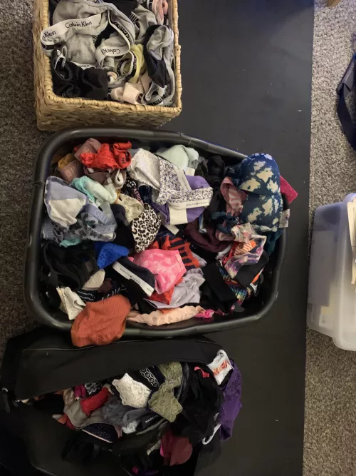 Let's play a game Comment a style of panty (red, lace, bikini) and I'll try to find one in my huge collection Get creative I have hundreds and I'll post pics. I only wear my Calvin's so if anyone is interested in buying I'm willing to send them