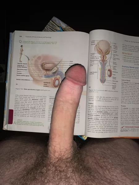 Letโs study anatomy? Letโs study anatomy?