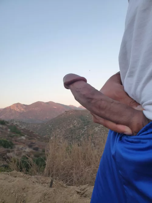 Letting Jr breathe on a hike.