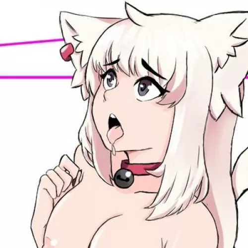 LF Color Source: 1girl, cat ears, tongue out, saliva, white hair, choker, gray eyes, ear ring, nipples, neck bell, cat girl, looking up
