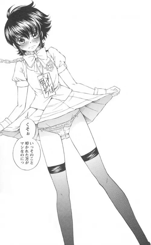 LF Mono Source: dress, panties, showing panties, blushing, short hair, collar, ribbon, stockings, japanese text, school emblem, lifting dress, hair between eyes, shame expression, plate hanging
