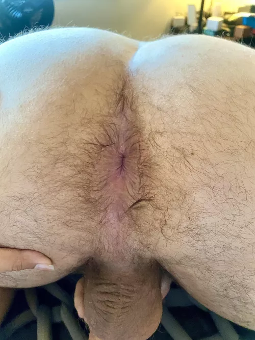Licking my husband’s hole down to his balls