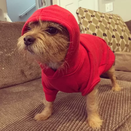 Lil Wicket about to drop the sickest beats of 2012