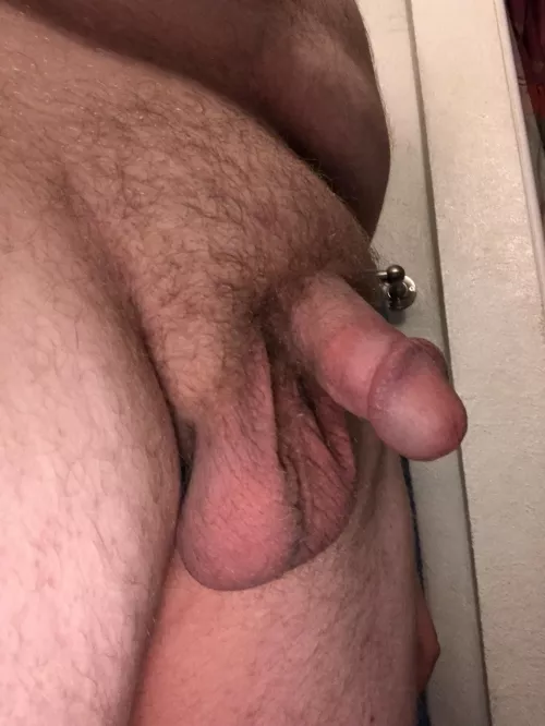 little dick big ball, what do u think? [19]