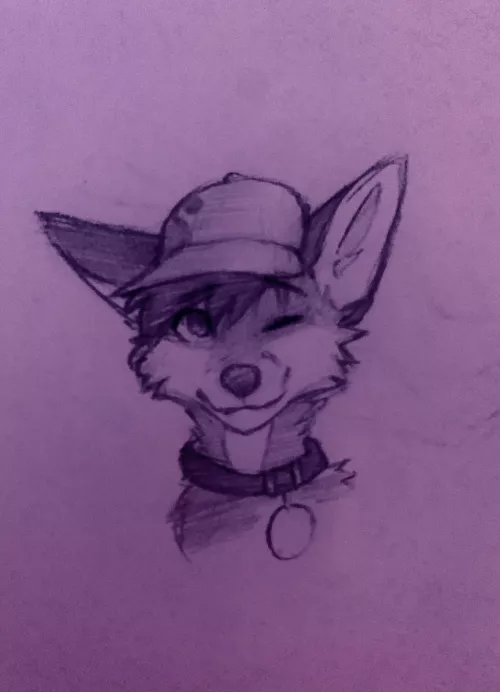 little fox in a hat doodle (art by me :D)
