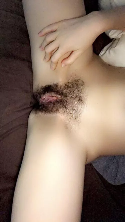Little hairy vulva 😌
