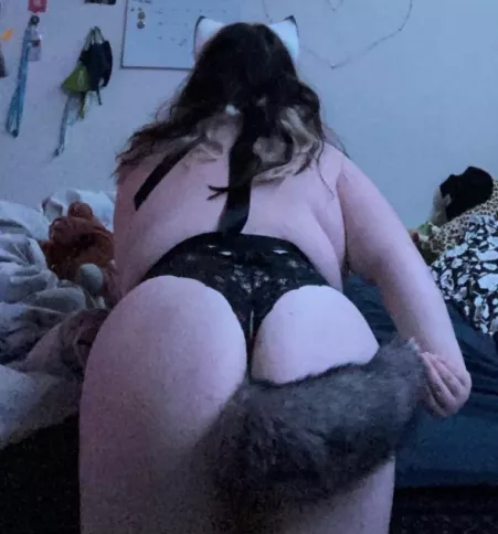 Look at my cute tail and ears 💓