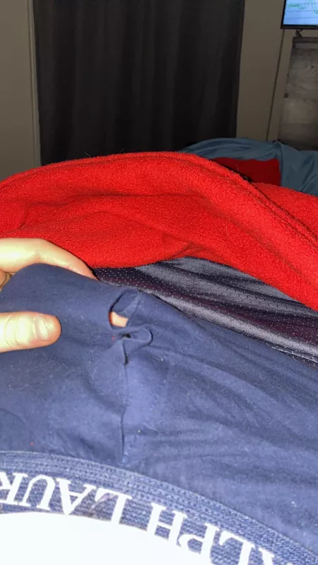 Looking for a cougar to care for this cub