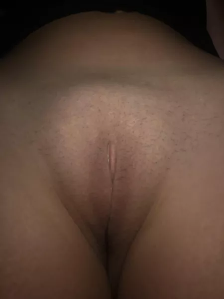 Lots of porn lately, still plump tho