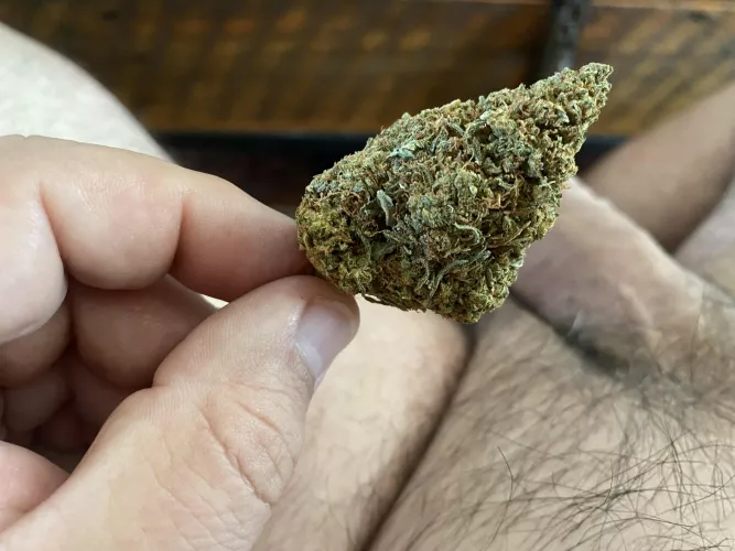 [M] Smoke this tree with me?