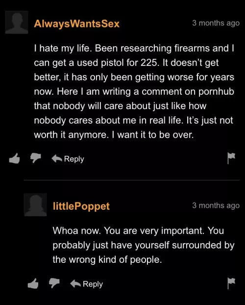 Man saving a life in the Pornhub comments.