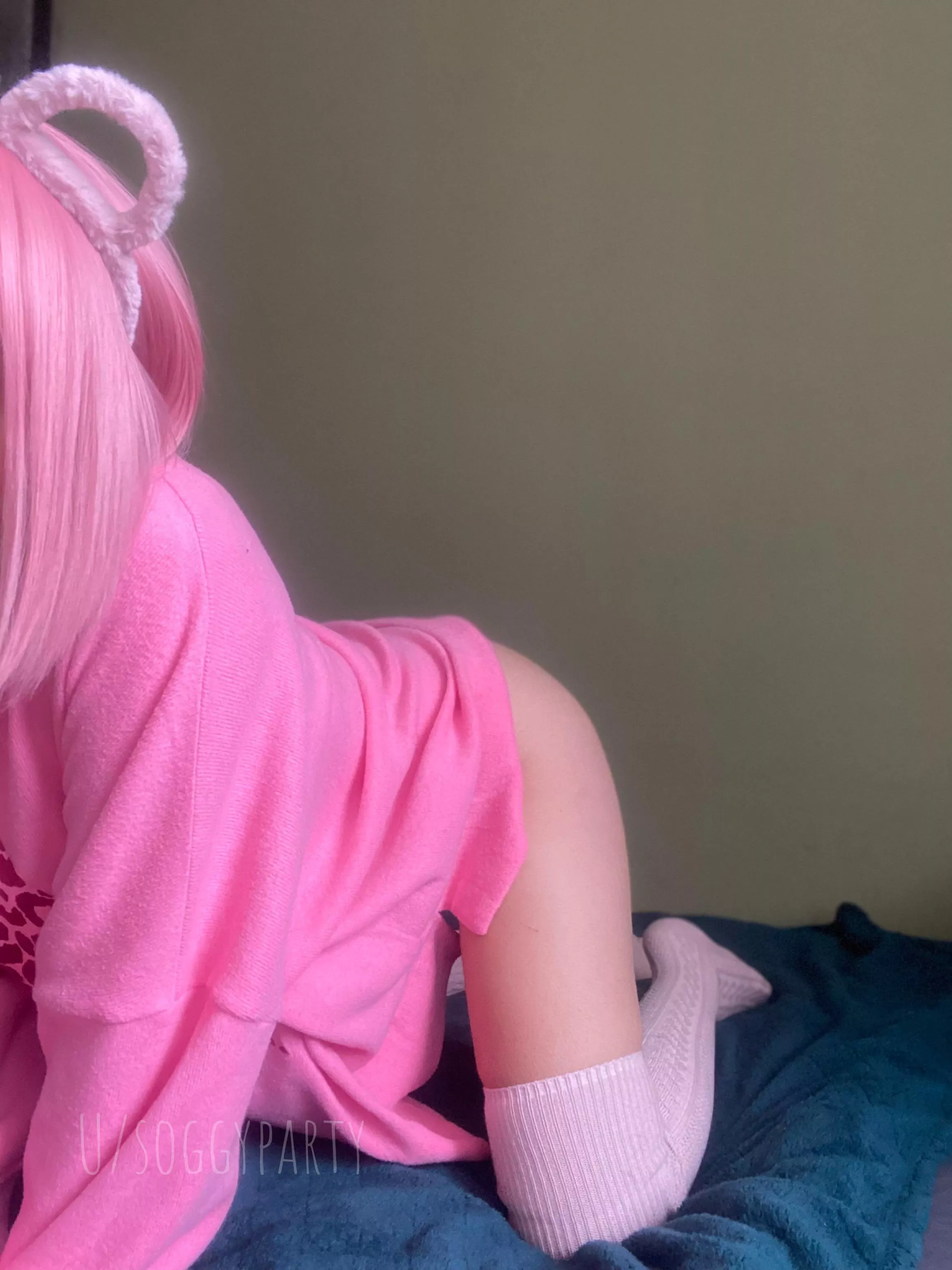 Meow 🌸