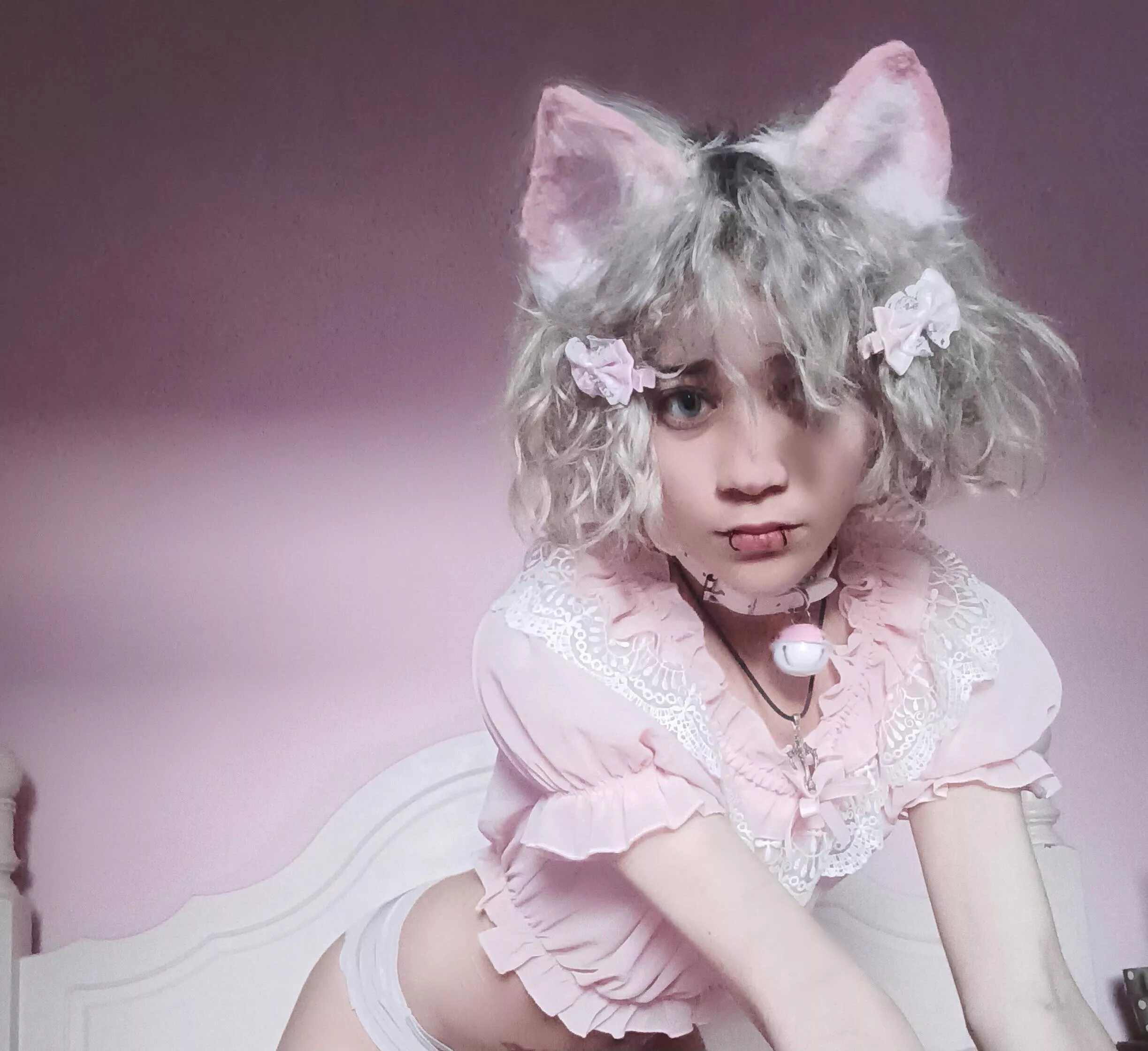 meow 🐾