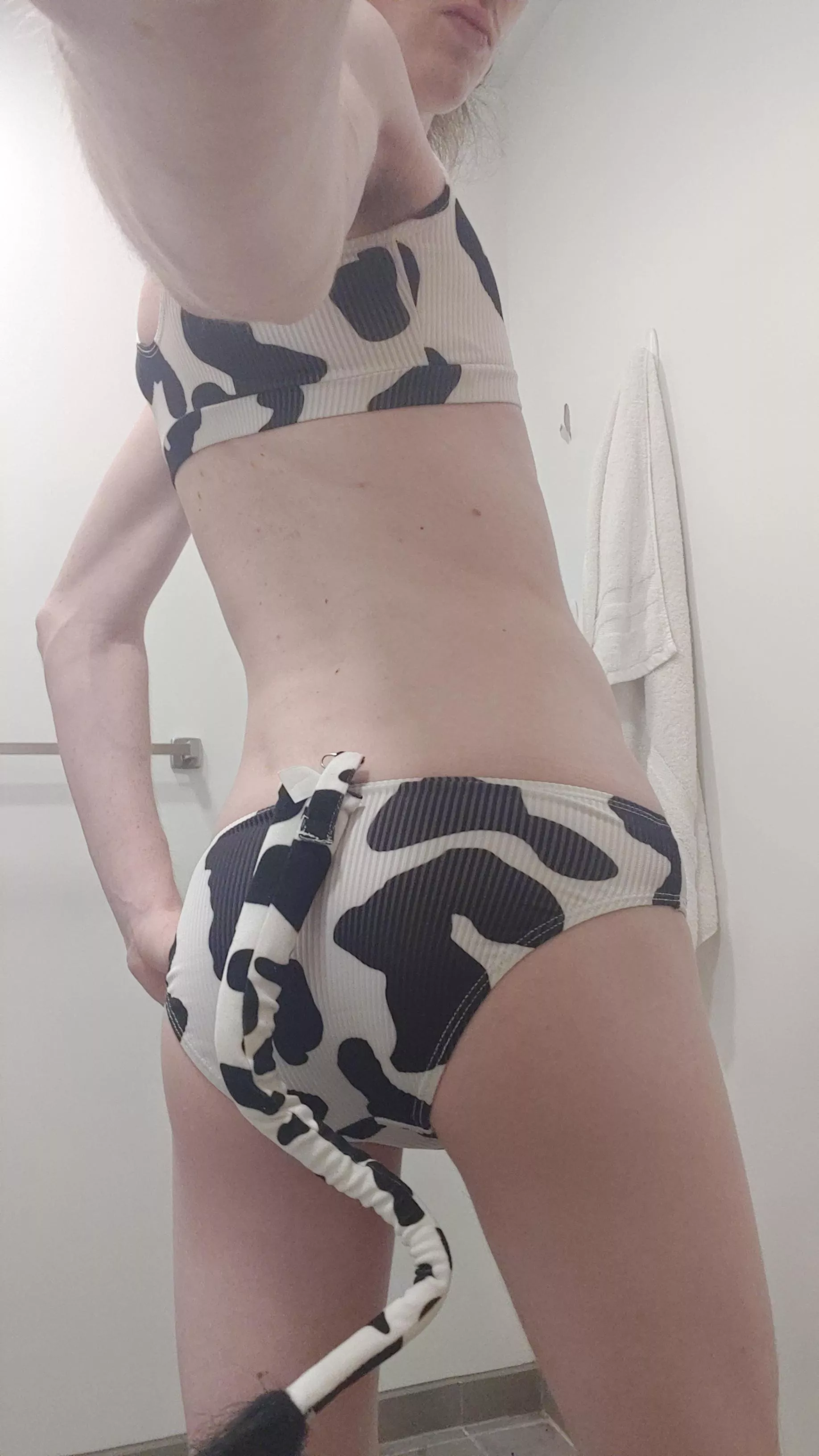 moo moo moo 🐄