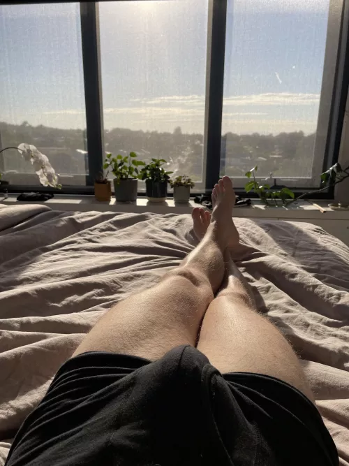 Morning sunshine bulge