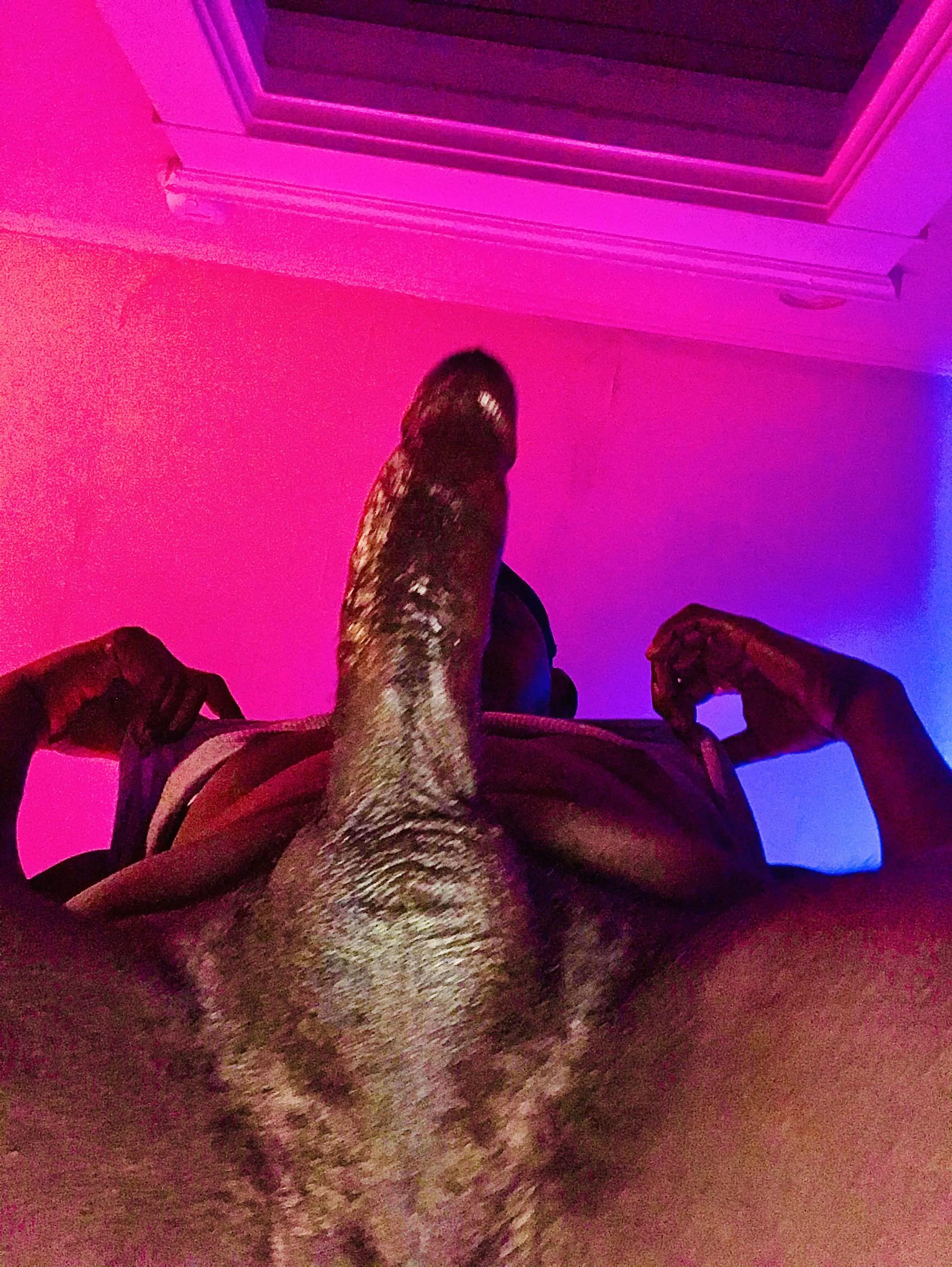 Morning wood.