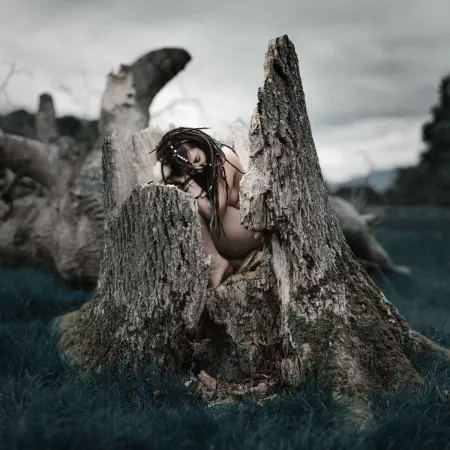 Mourning her dead tree