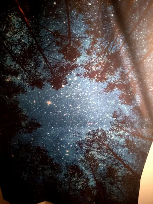 Mural thingy on my ceiling. Sometimes I listen to music with nature sounds, like crickets, while I look at it to help me relax and fall asleep.