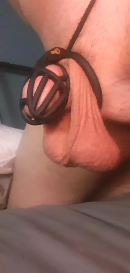 My cherrys need popping.