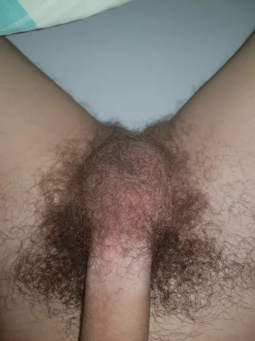 My hairy balls😋 My hairy balls😋