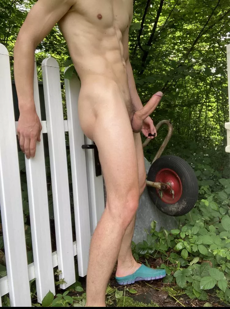 My neighbor is interested my huge uncut cum cannon ππ¦ and smooth bubble butt πβ¦ I love to tease him π₯΅ My neighbor is interested my huge uncut cum cannon ππ¦ and smooth bubble butt πβ¦ I love to tease him π₯΅