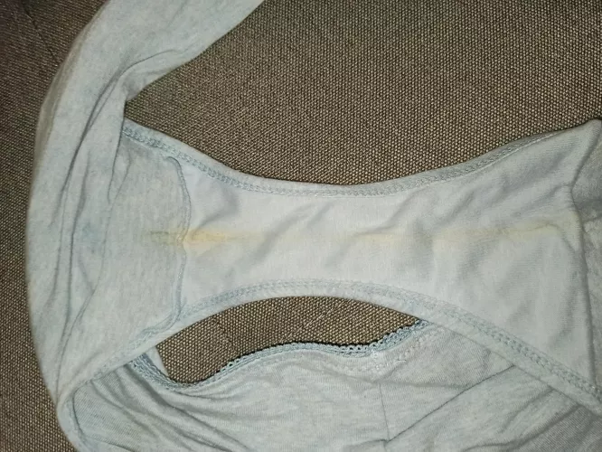 My wifes panty after a Home Office day