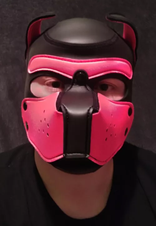 new face who this 🐶