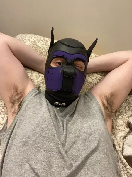 New phone, new camera, same old musky mutt 🐶💦