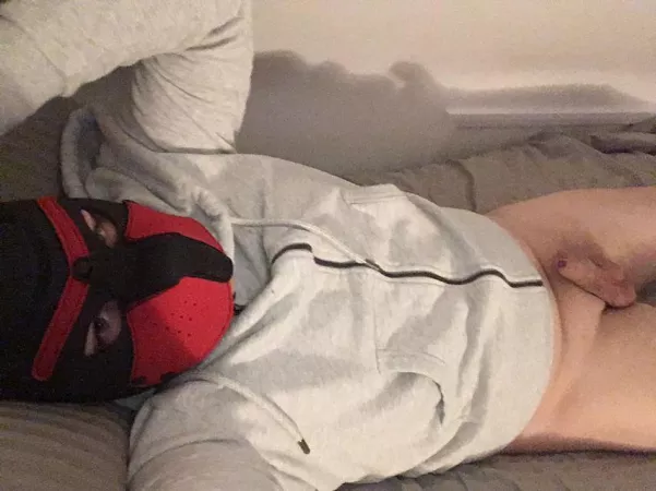 No gear or anything. But I hope I make a good pup