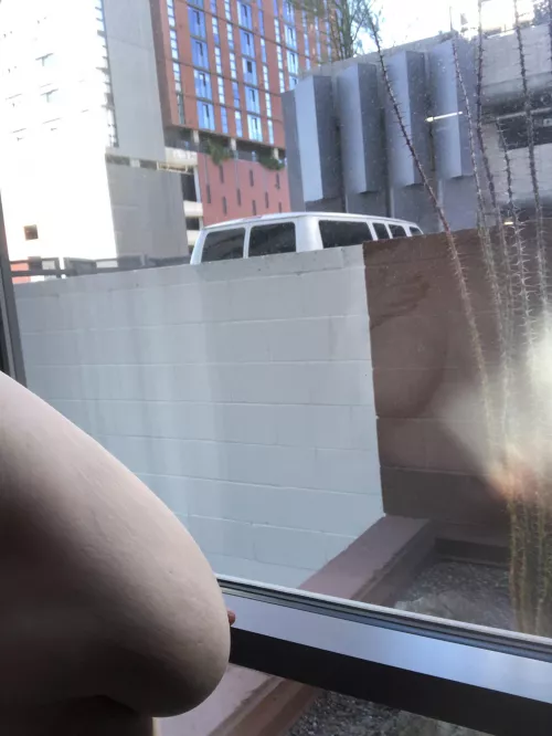 Not the best view from my hotel room… 🤷🏼‍♀️