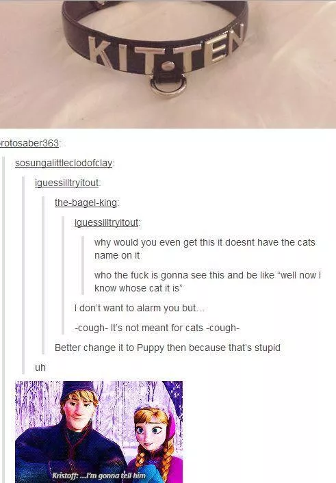 Oh Kitten 🤦🏼‍♀️