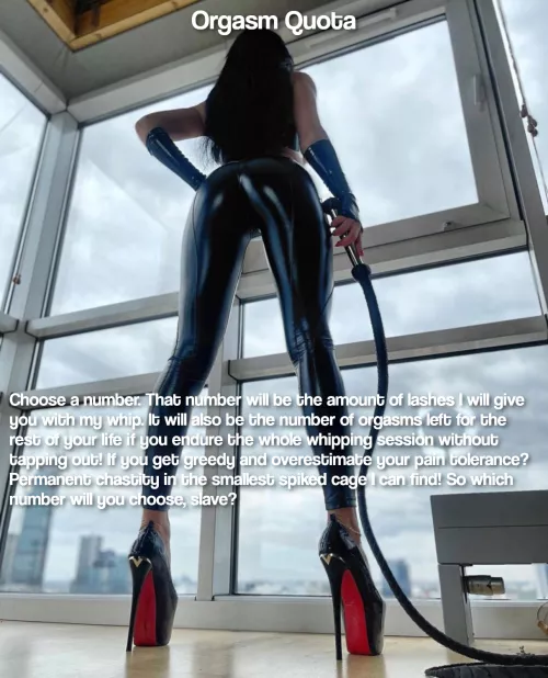 Orgasm Quota