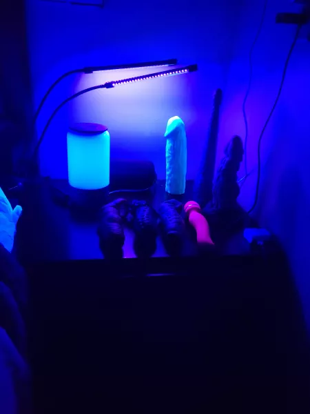 Our little shrine😈