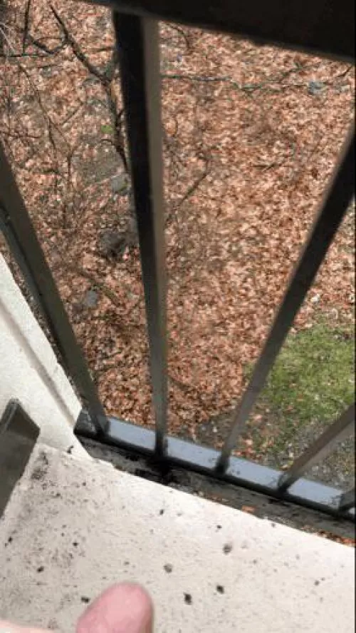 Pissing off my balcony 😋