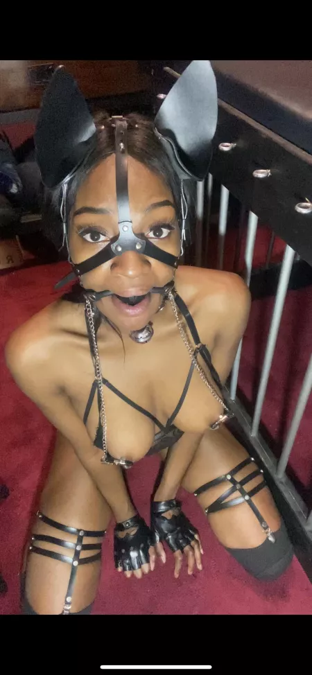 Please be gentle 🥺….