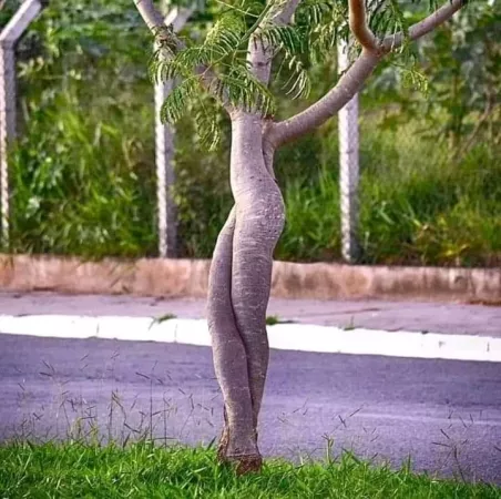 Please don’t just be me, please don’t just be me…