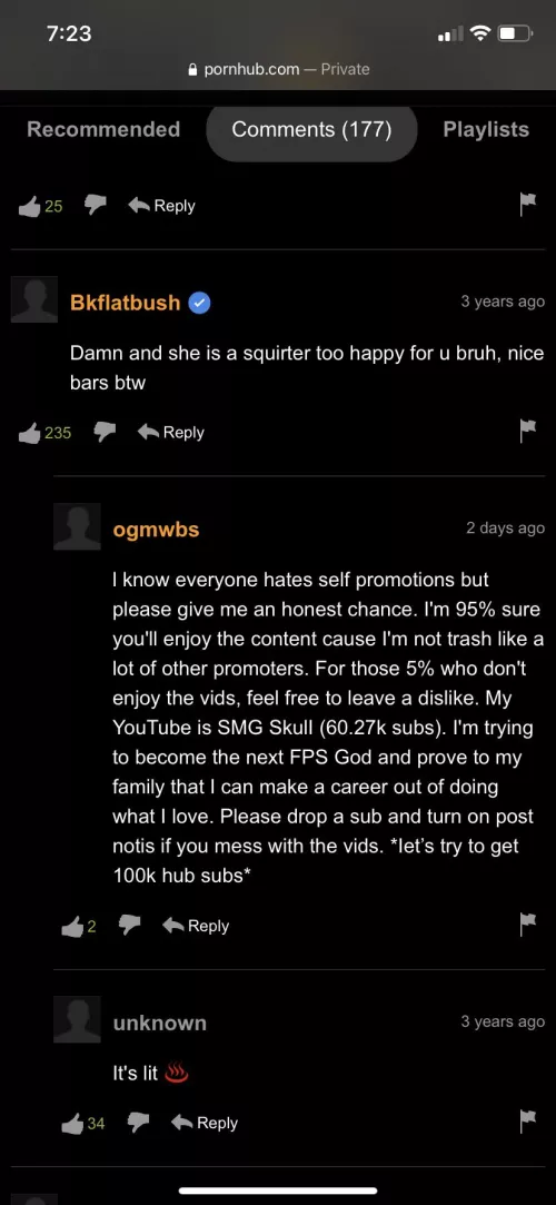 pornhub comment section is the best way to advertise you’re channel