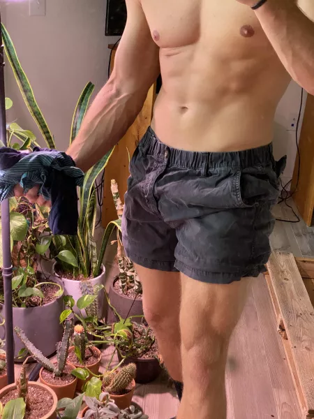 Post arm day veins >>