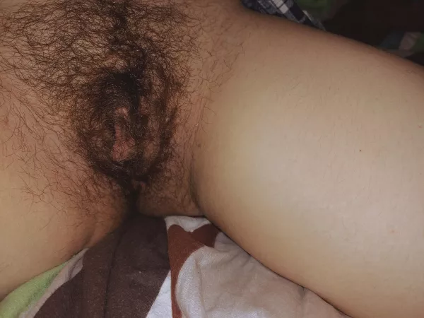 Pretty bush for us😊