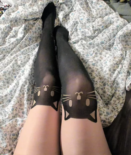 Purrrrrfect! (=^･^=)