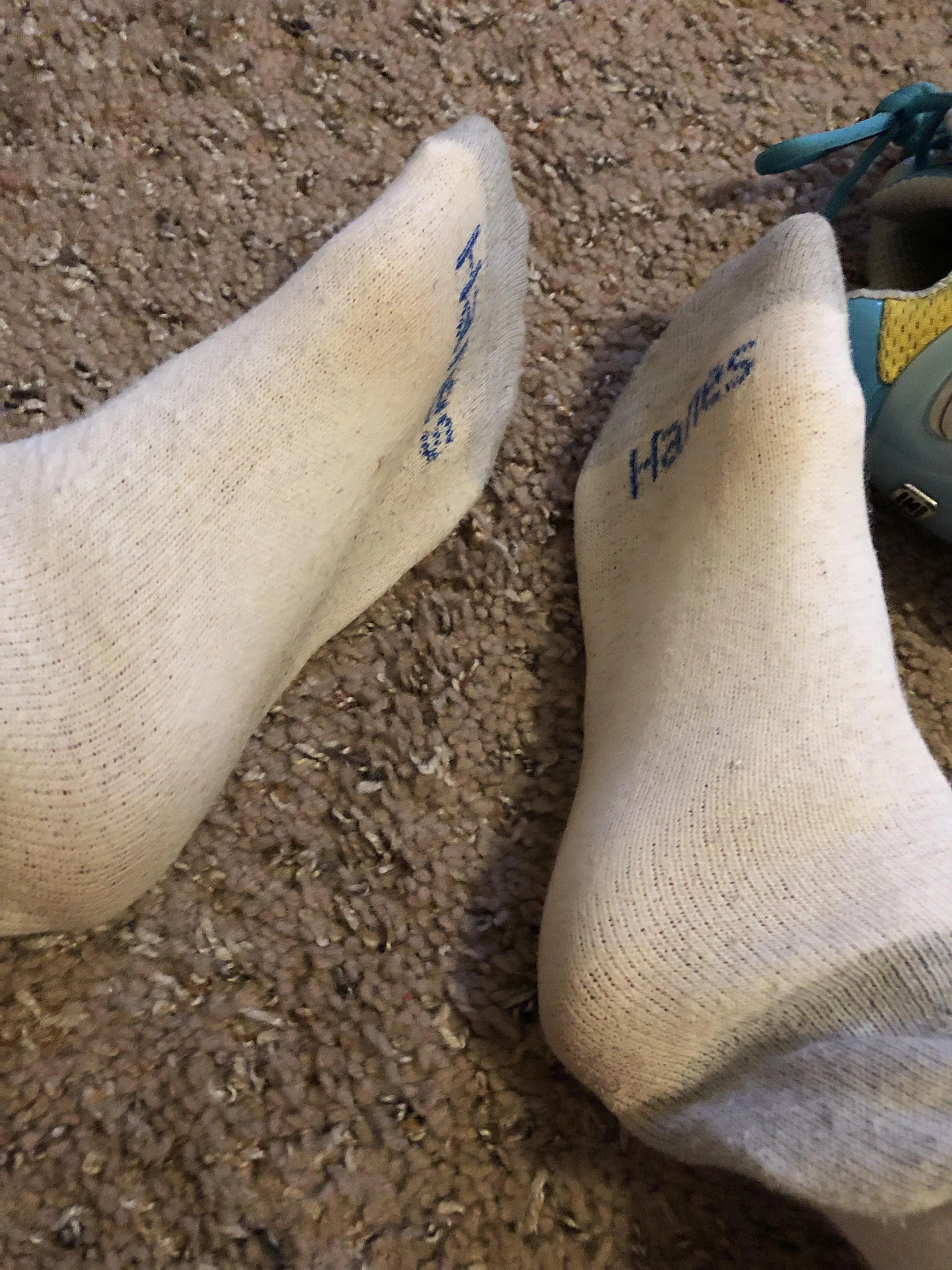 Remembering that time when I wore this pair of socks for 2 WHOLE WEEKS! ๐ฅฐ Want me to do the same for you? I promise youโll love the results! ๐ PM me with any questions, I canโt say โYes!โ unless you ask!๐ Remembering that time when I wore this pair of socks for 2 WHOLE WEEKS! ๐ฅฐ Want me to do the same for you? I promise youโll love the results! ๐ PM me with any questions, I canโt say โYes!โ unless you ask!๐
