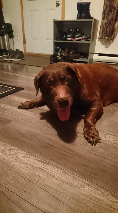 R.I.P🪦 Coco I’ll always remember you ❤️