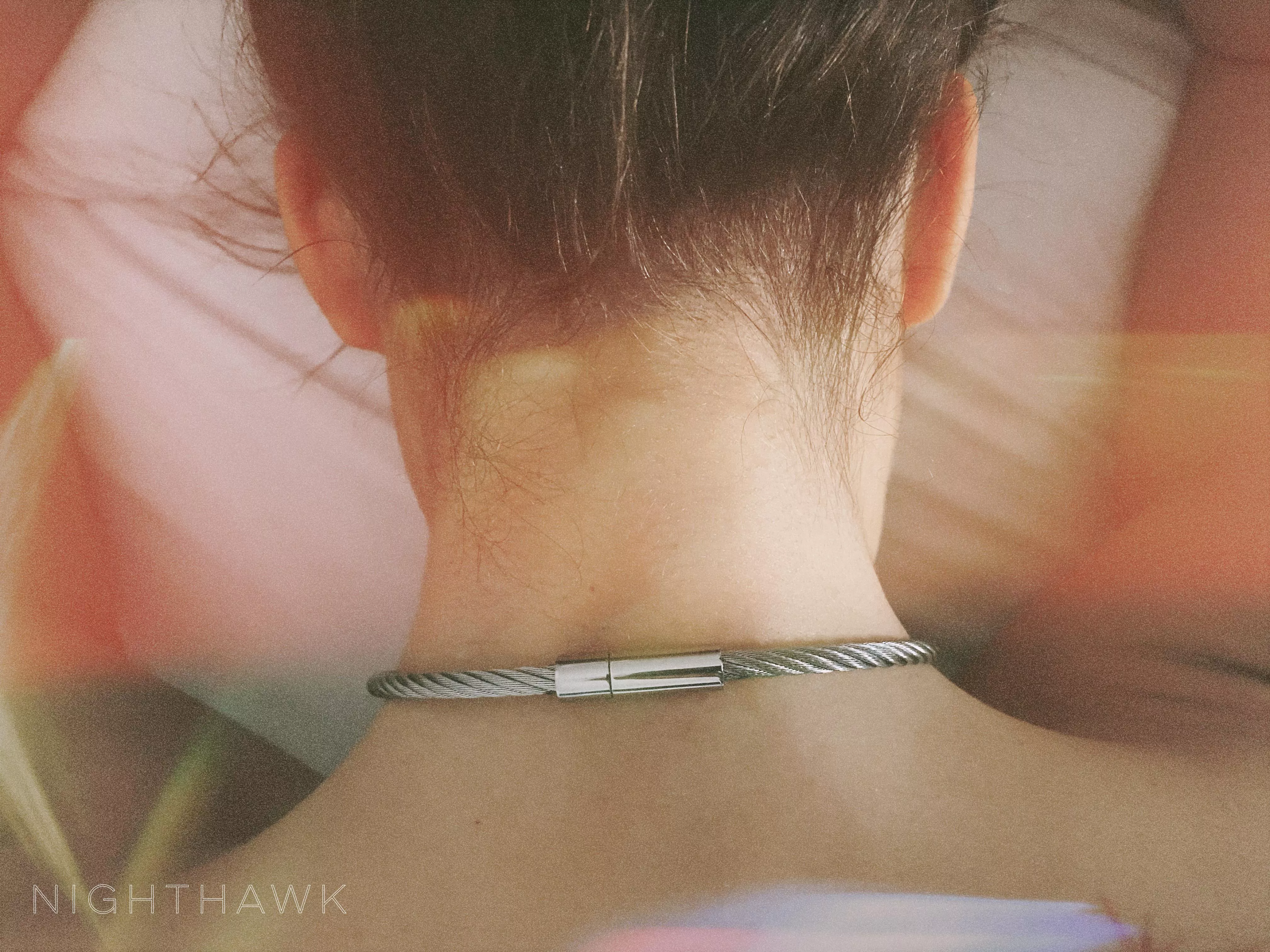 Roxy’s collar