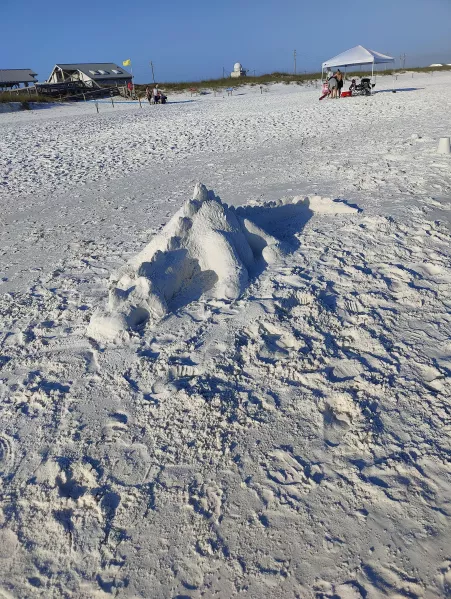 Sand crocodile I found