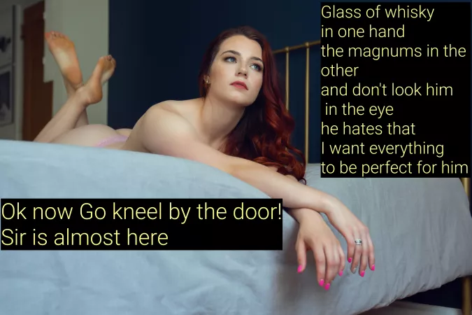 She's very particular that she pleases her master so she can keep worshipping his Dick. Lucky for her she has you for help.